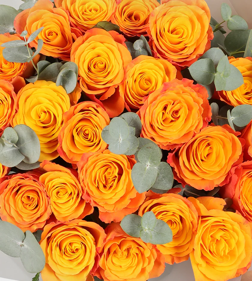 24 Orange Roses - Image 2