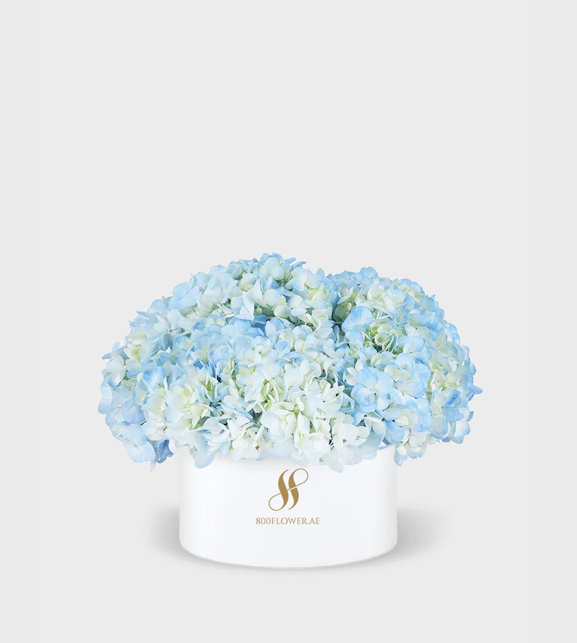 Blue Hydrangea Medium Round Box - Image 2