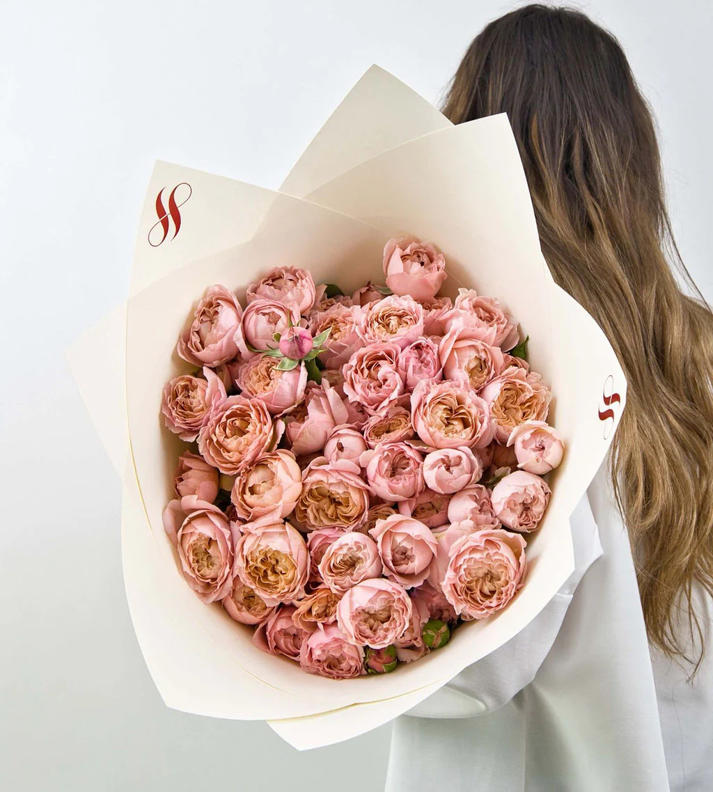 Julietta Garden Roses