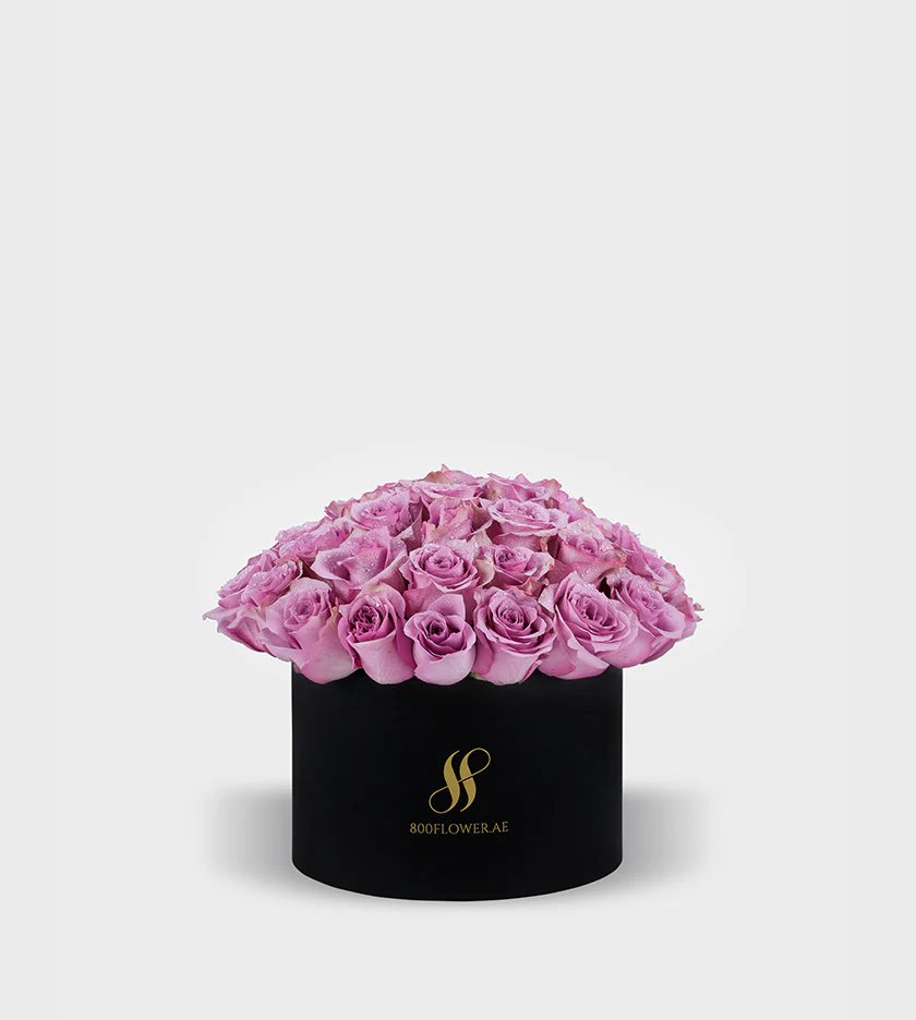 Purple Rose Medium Round Box
