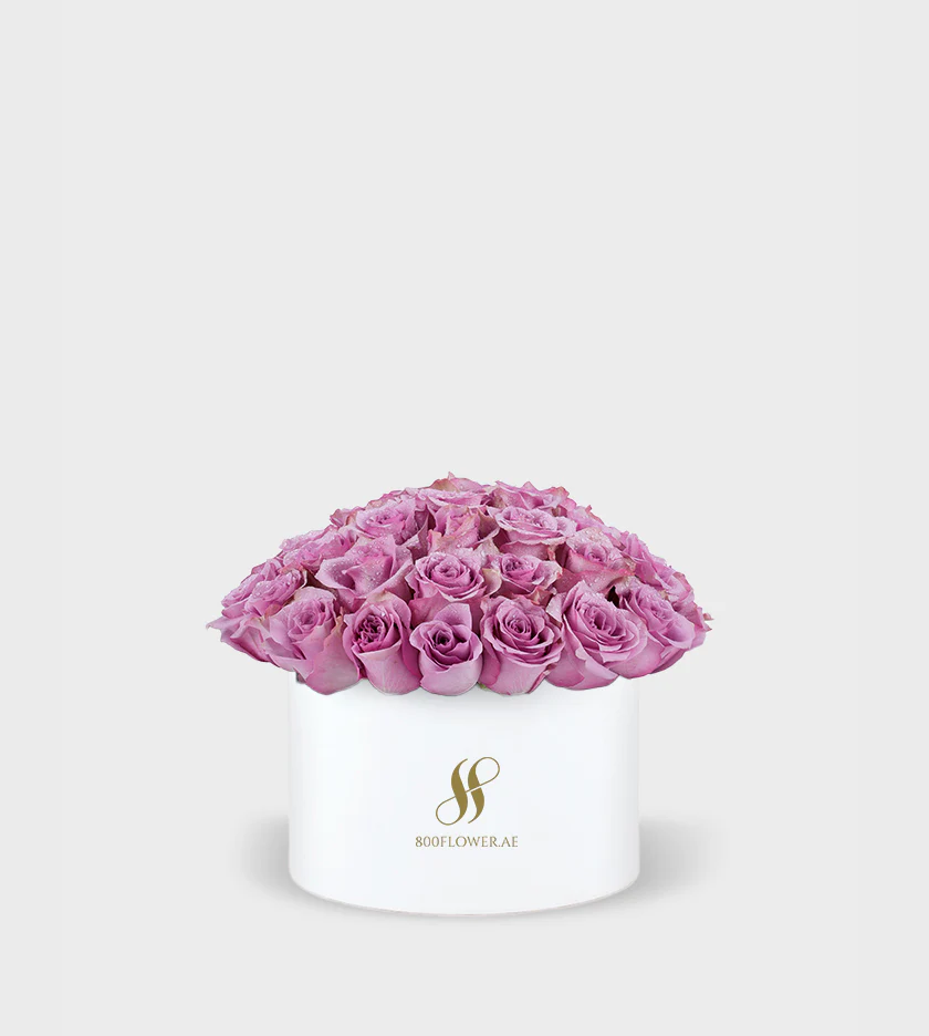 Purple Rose Medium Round Box - Image 2