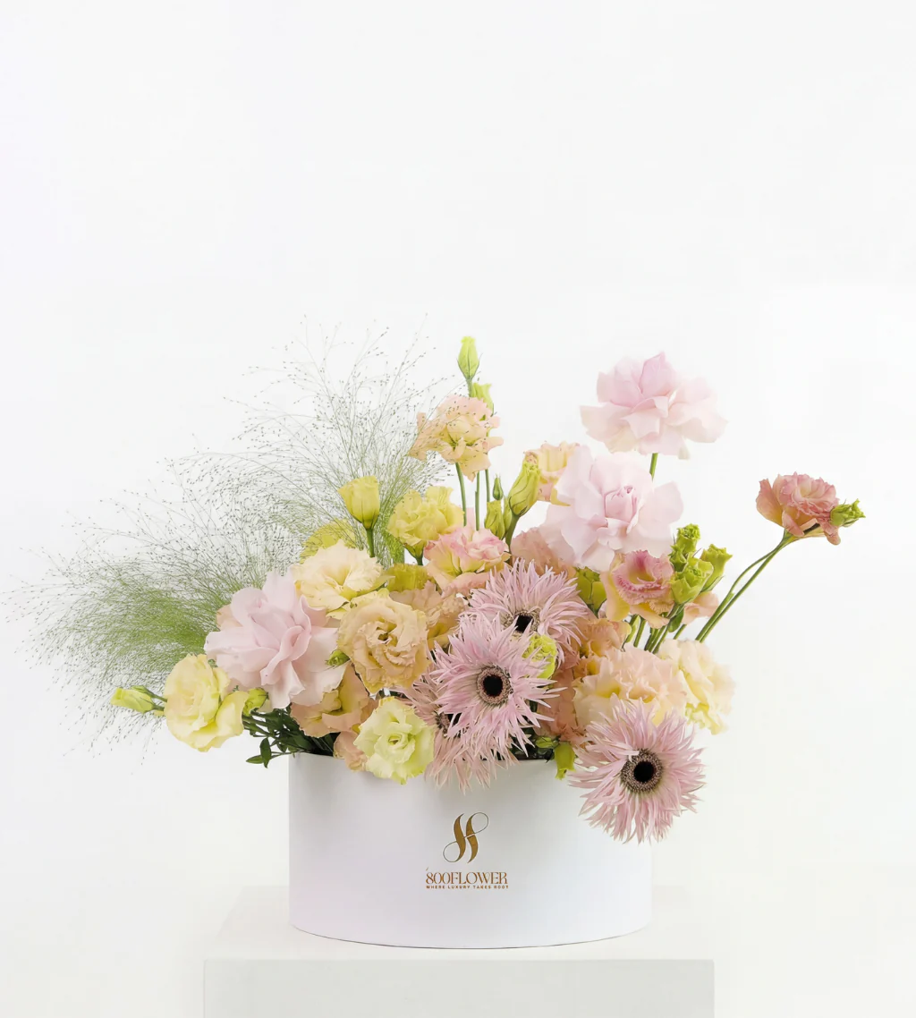 Soft Glow - Image 2