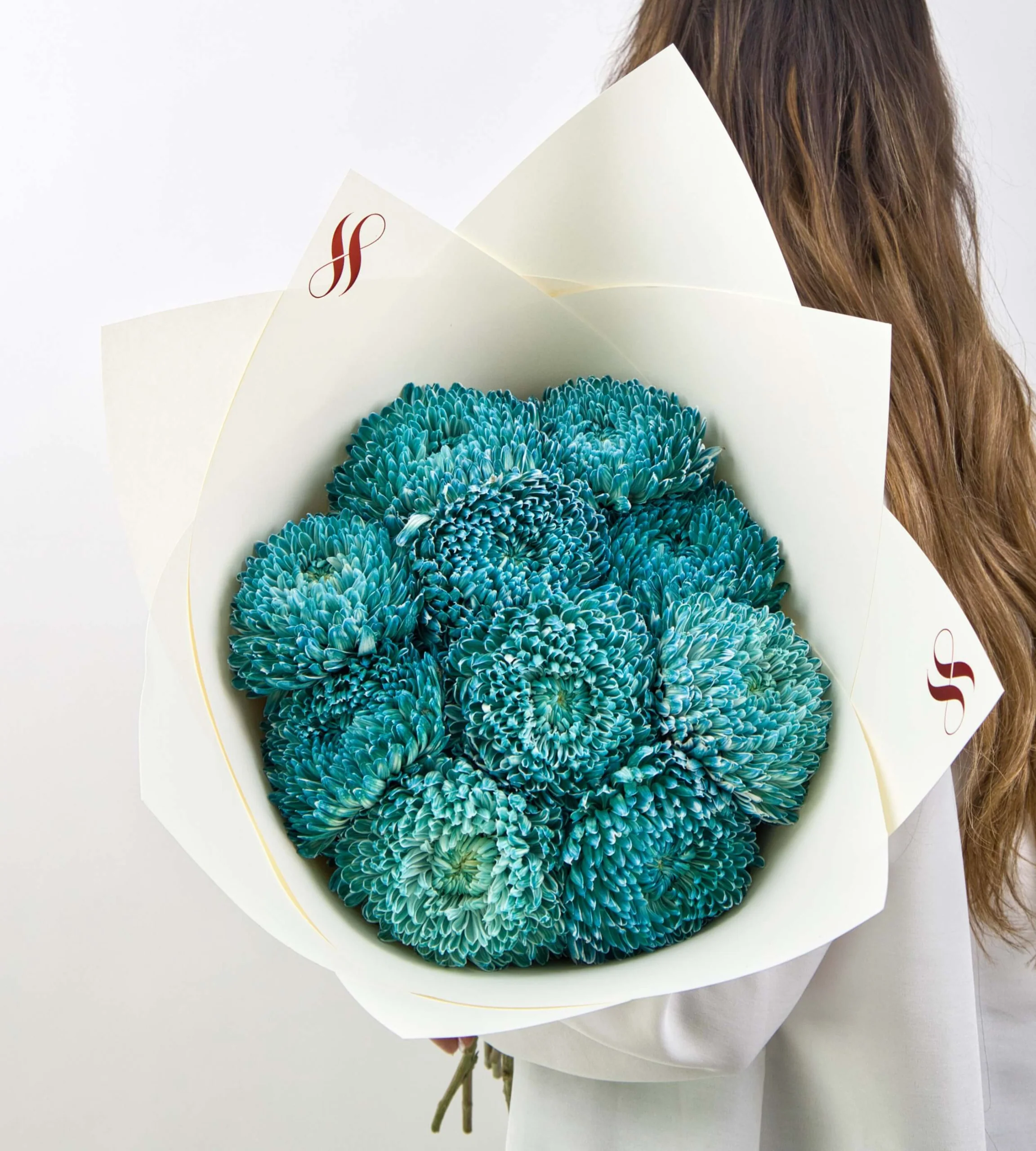 Teal Muse