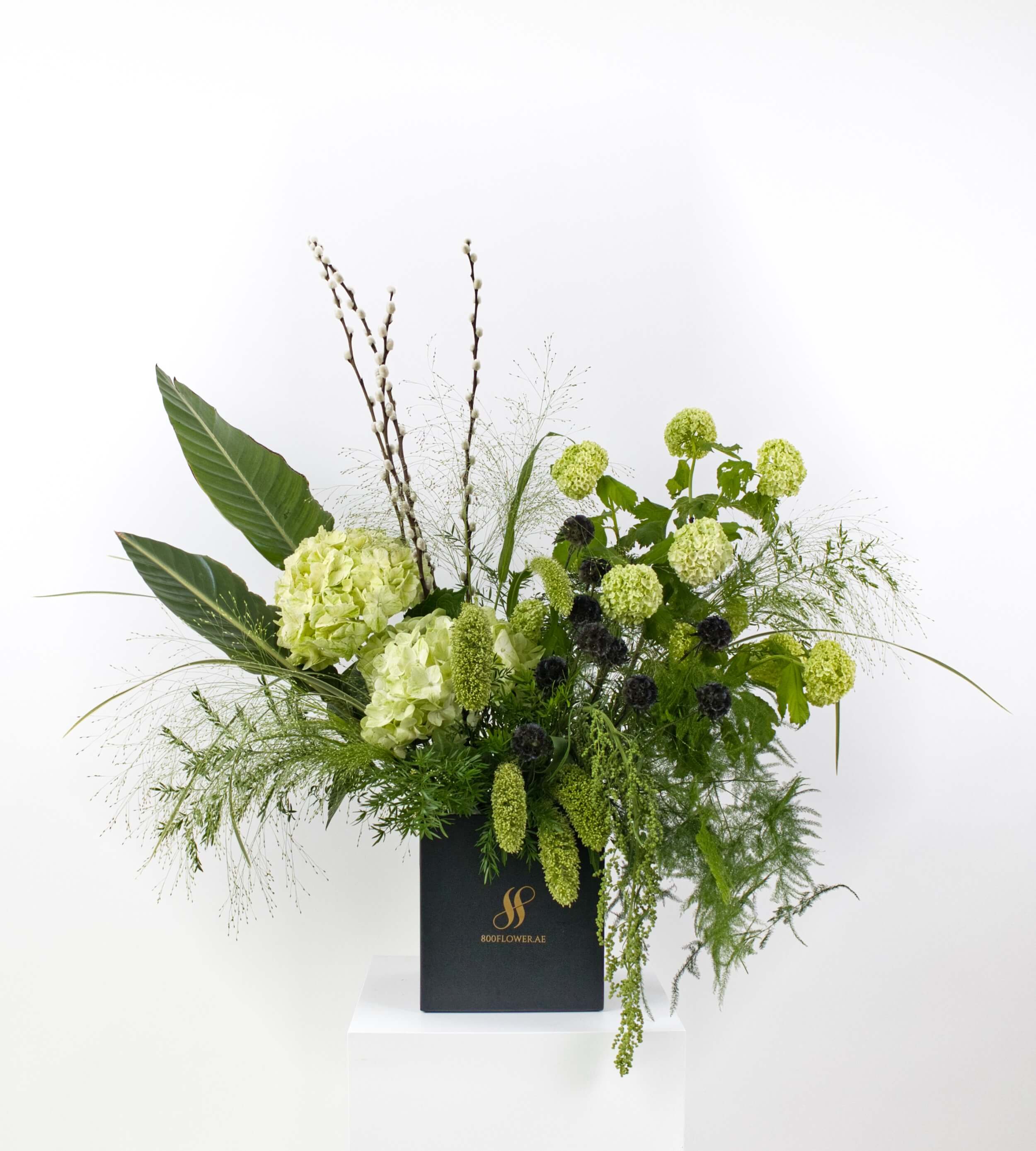 Verdant Muse